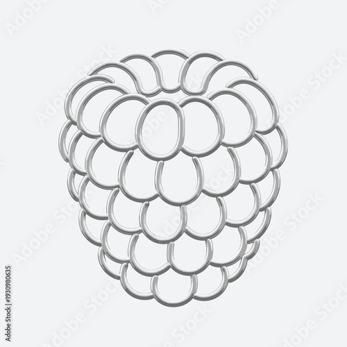 Blackberry Fruit Isolated on White Background.