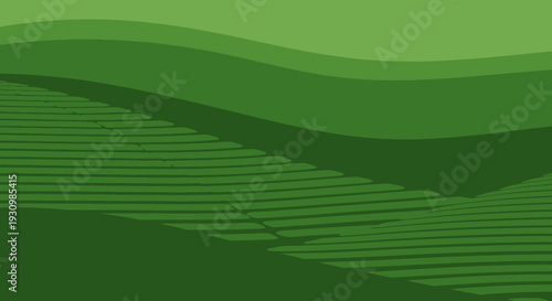 Green Hills with Agricultural Terraces.