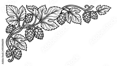 Craft brewery themed hops ornament in classic style.