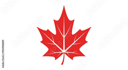 Red Maple Leaf Icon.