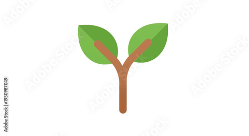 Small Green Plant Sprout.