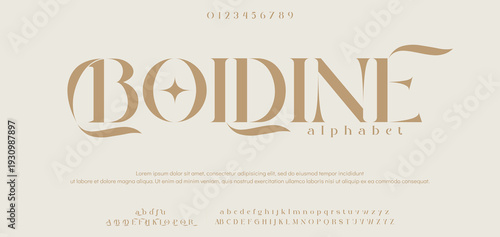 Luxury Elegant Modern beauty font alphabet logo. Typography beautiful minimal elegant sans fonts fashion wedding vintage retro logos. vector illustration