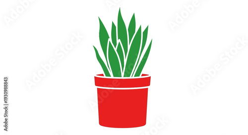 Aloe Vera Plant Pot.