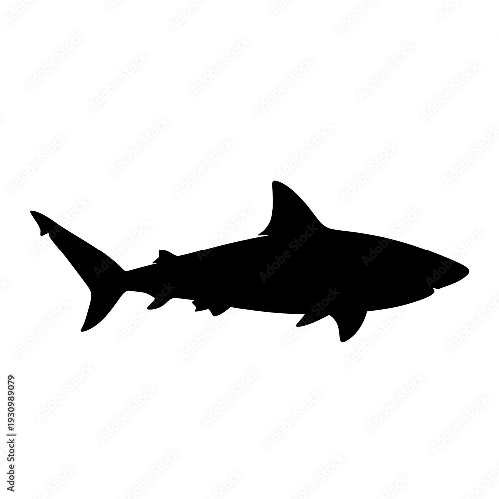 Fototapeta premium Black silhouette of a shark swimming.