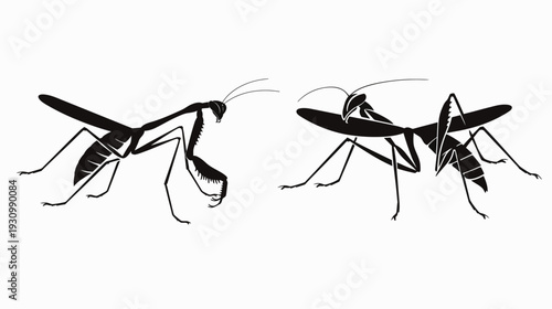 A vector illustration depicting two praying mantises in a black silhouette, facing each other on white