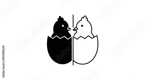 Black and white chicken illustration in an egg with a line dividing the two halves. Vector