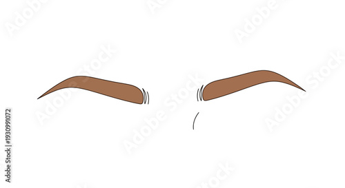 Brown Eyebrow Hair Growth.