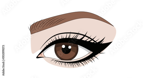 Brown Eye Makeup Closeup.