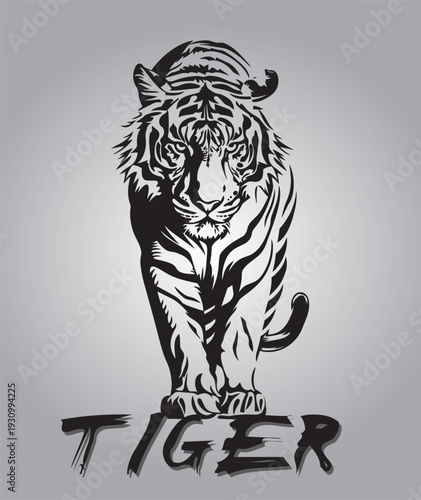 Black and white tiger illustration in bold tribal and tattoo style.Vector Eps10