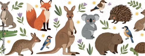 Collection of cute Australian animals and forest wildlife characters in flat style illustration