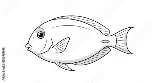 Fish Side View Illustration.