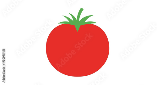 Fresh Red Tomato Illustration.