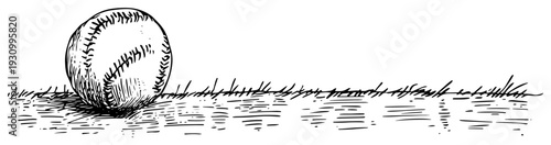 Hand drawn sketch of a baseball sitting on a grassy field in vintage style