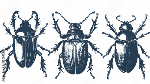 Three stylized beetle illustrations in dark blue on white background, intricate details