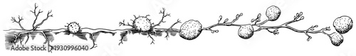 Hand drawn decorative branch with round organic shapes and spore like structures