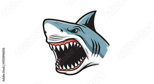 Gray Shark Head Closeup.