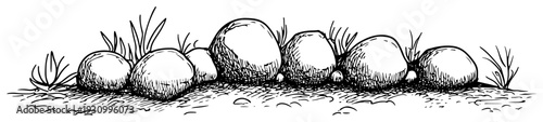 Hand drawn sketch showing a row of large smooth stones and boulders resting on a grassy ground