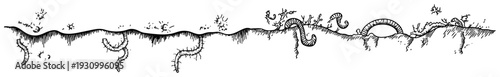 Long panoramic hand drawn sketch of worms moving through soil burrows and across the ground surface