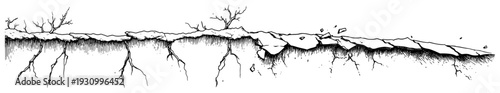 Detailed hand drawn sketch of a cross section showing cracked dry earth and deep roots