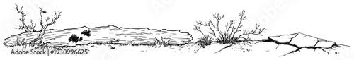Hand drawn sketch of a fallen log and wild bushes on cracked earth