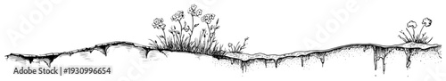 Landscape sketch of a grassy mound with wildflowers and earth cross section