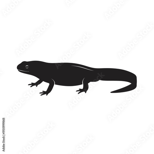 Silhouette of a newt isolated on a white background, side view.