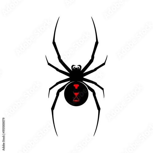 Black widow spider illustration with red hourglass marking on white background.