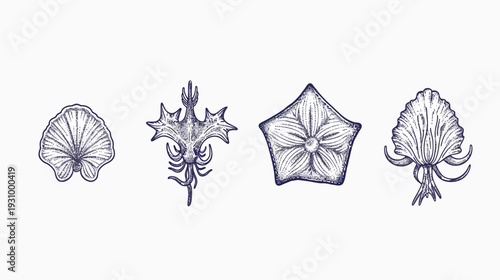 Intricate botanical illustrations, likely for a scientific reference or educational resource, placed against white