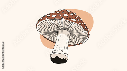 Single mushroom with a brown cap white spots and a white stem on a light background for nature concepts.