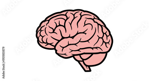 Illustration of a human brain viewed from the side, showcasing its detailed anatomy and structure.