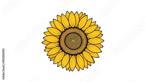 Detailed vintage style illustration of a single bright yellow sunflower bloom with intricate seeds and soft petals.