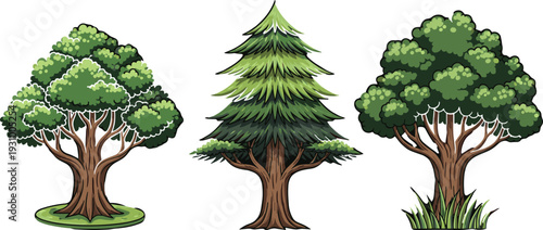 Cartoon tree illustrations set with deciduous tree, pine tree and lush green garden trees isolated nature vector collection