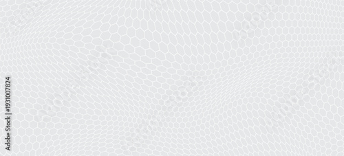 Fishing net or soccer net. Repeating hexagon pattern. White wire mesh texture isolated on a white background. Metal or fabric fence, cage, or lattice structure, vector eps10