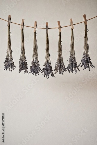 Dried lavender flowers hanging on twine with wooden clips against wall  