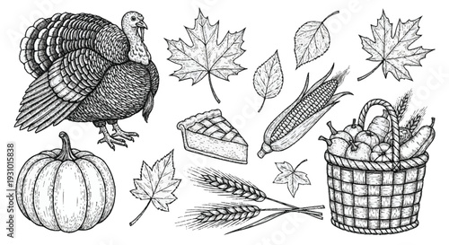 Black and white of thanksgiving symbols including turkey pumpkin pie corn