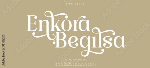 Elegant font alphabet uppercase lowercase and number. Classic lettering minimal fashion designs. Typography modern serif fonts regular decorative vintage concept. Vector illustration