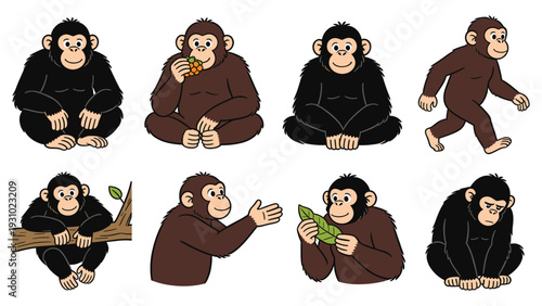 Collection of various primate species in different poses and activities, featuring monkeys engaging in diverse behaviors.