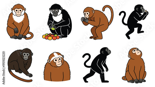 Various primate species engage in diverse activities and poses in a collection of illustrations