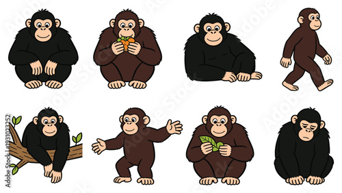 Various primate species in different poses and activities illustrated in a digital art style