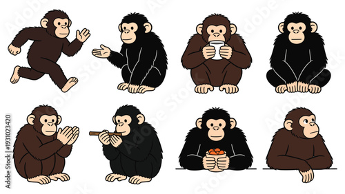 Collection of monkeys in various poses and activities showcasing primate species in vector illustrations on a clean background