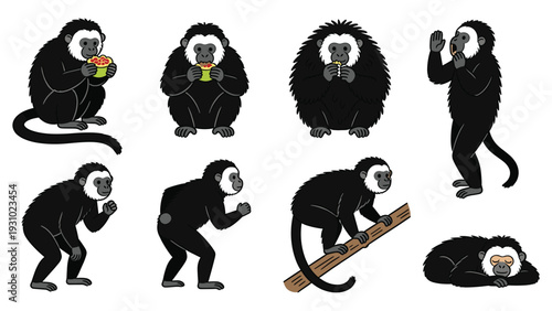 Collection of monkeys in various poses and activities illustration pack featuring primate species