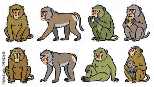 Various primate species in different poses and activities, illustrating monkey behavior, in a vector illustration style.