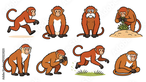 Global Primate Species Element Pack monkeys in various poses and activities in a natural environment