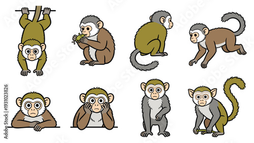 Various monkeys in different poses and activities illustrated in a primate species element pack.