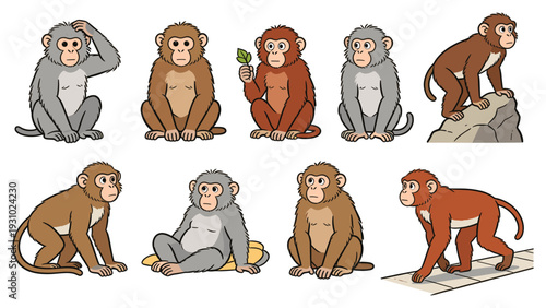 Collection of various primate species in different poses and activities
