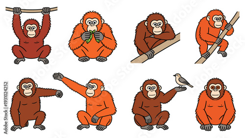 Various primates posing and engaging in activity globally, showcasing different species and behaviors in a vector illustration.