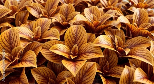 Close-up of yellow orange leaves with pronounced texture. The leaves are tightly spaced, creating the effect of volume and metallic surface.