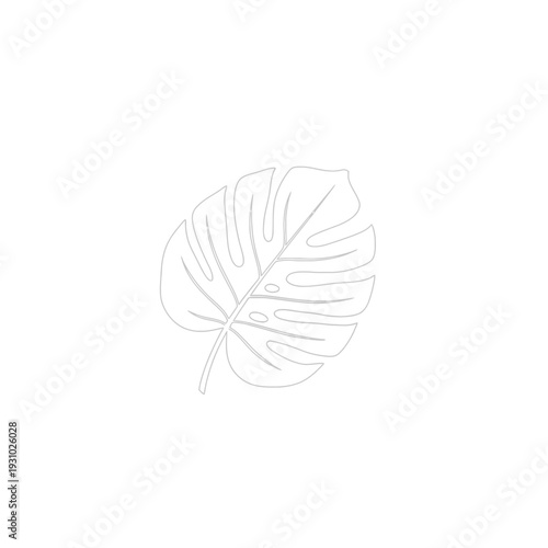 Monstera Deliciosa Leaf Outline Drawing Minimalist Botanical Art.