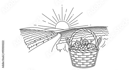 Harvest Basket of Grapes in Vineyard at Sunrise, Rural Landscape