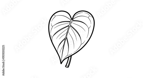 Heart-Shaped Leaf Outline Drawing, Simple Botanical Illustration